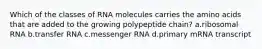 Which of the classes of RNA molecules carries the amino acids that are added to the growing polypeptide chain? a.ribosomal RNA b.transfer RNA c.messenger RNA d.primary mRNA transcript