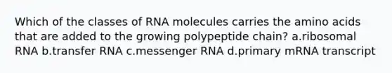 Which of the classes of RNA molecules carries the amino acids that are added to the growing polypeptide chain? a.ribosomal RNA b.transfer RNA c.messenger RNA d.primary mRNA transcript