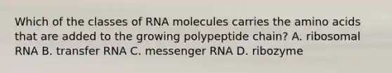 Which of the classes of RNA molecules carries the amino acids that are added to the growing polypeptide chain? A. ribosomal RNA B. transfer RNA C. messenger RNA D. ribozyme