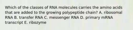 Which of the classes of RNA molecules carries the amino acids that are added to the growing polypeptide chain? A. ribosomal RNA B. transfer RNA C. messenger RNA D. primary mRNA transcript E. ribozyme