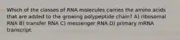 Which of the classes of RNA molecules carries the amino acids that are added to the growing polypeptide chain? A) ribosomal RNA B) transfer RNA C) messenger RNA D) primary mRNA transcript