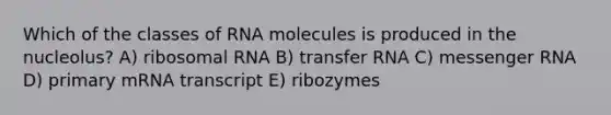 Which of the classes of RNA molecules is produced in the nucleolus? A) ribosomal RNA B) transfer RNA C) messenger RNA D) primary mRNA transcript E) ribozymes