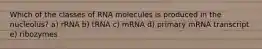 Which of the classes of RNA molecules is produced in the nucleolus? a) rRNA b) tRNA c) mRNA d) primary mRNA transcript e) ribozymes