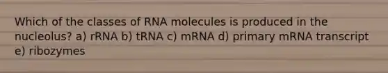 Which of the classes of RNA molecules is produced in the nucleolus? a) rRNA b) tRNA c) mRNA d) primary mRNA transcript e) ribozymes