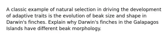 A classic example of natural selection in driving the development of adaptive traits is the evolution of beak size and shape in Darwin's finches. Explain why Darwin's finches in the Galapagos Islands have different beak morphology.