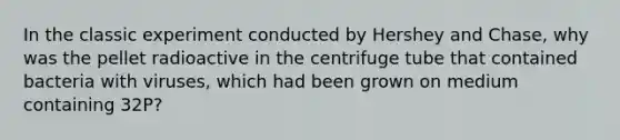 In the classic experiment conducted by Hershey and Chase, why was the pellet radioactive in the centrifuge tube that contained bacteria with viruses, which had been grown on medium containing 32P?