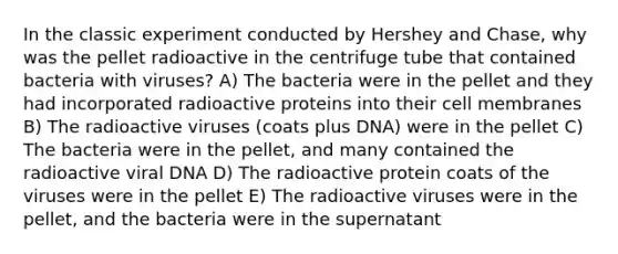 In the classic experiment conducted by Hershey and Chase, why was the pellet radioactive in the centrifuge tube that contained bacteria with viruses? A) The bacteria were in the pellet and they had incorporated radioactive proteins into their cell membranes B) The radioactive viruses (coats plus DNA) were in the pellet C) The bacteria were in the pellet, and many contained the radioactive viral DNA D) The radioactive protein coats of the viruses were in the pellet E) The radioactive viruses were in the pellet, and the bacteria were in the supernatant