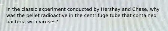 In the classic experiment conducted by Hershey and Chase, why was the pellet radioactive in the centrifuge tube that contained bacteria with viruses?