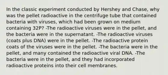 In the classic experiment conducted by Hershey and Chase, why was the pellet radioactive in the centrifuge tube that contained bacteria with viruses, which had been grown on medium containing 32P? -The radioactive viruses were in the pellet, and the bacteria were in the supernatant. -The radioactive viruses (coats plus DNA) were in the pellet. -The radioactive protein coats of the viruses were in the pellet. -The bacteria were in the pellet, and many contained the radioactive viral DNA. -The bacteria were in the pellet, and they had incorporated radioactive proteins into their cell membranes.