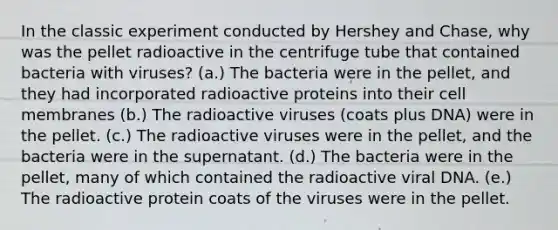 In the classic experiment conducted by Hershey and Chase, why was the pellet radioactive in the centrifuge tube that contained bacteria with viruses? (a.) The bacteria were in the pellet, and they had incorporated radioactive proteins into their cell membranes (b.) The radioactive viruses (coats plus DNA) were in the pellet. (c.) The radioactive viruses were in the pellet, and the bacteria were in the supernatant. (d.) The bacteria were in the pellet, many of which contained the radioactive viral DNA. (e.) The radioactive protein coats of the viruses were in the pellet.