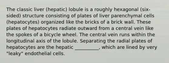 The classic liver (hepatic) lobule is a roughly hexagonal (six-sided) structure consisting of plates of liver parenchymal cells (hepatocytes) organized like the bricks of a brick wall. These plates of hepatocytes radiate outward from a central vein like the spokes of a bicycle wheel. The central vein runs within the longitudinal axis of the lobule. Separating the radial plates of hepatocytes are the hepatic __________, which are lined by very "leaky" endothelial cells.