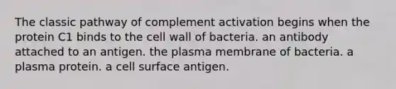 The classic pathway of complement activation begins when the protein C1 binds to the cell wall of bacteria. an antibody attached to an antigen. the plasma membrane of bacteria. a plasma protein. a cell surface antigen.