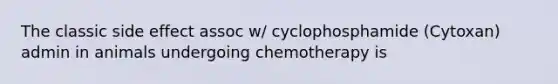 The classic side effect assoc w/ cyclophosphamide (Cytoxan) admin in animals undergoing chemotherapy is