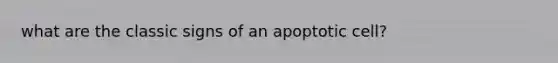 what are the classic signs of an apoptotic cell?