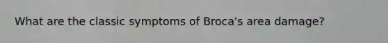 What are the classic symptoms of Broca's area damage?