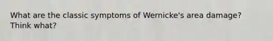 What are the classic symptoms of Wernicke's area damage? Think what?