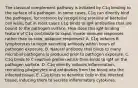 The classical complement pathway is initiated by C1q binding to the surface of a pathogen. In some cases, C1q can directly bind the pathogen, for instance by recognizing proteins of bacterial cell walls, but in most cases C1q binds to IgM antibodies that are bound to the pathogen surface. How does this IgM-binding feature of C1q contribute to rapid, innate immune responses rather than to slow, adaptive responses? A. C1q induces B lymphocytes to begin secreting antibody within hours of pathogen exposure. B. Natural antibody that binds to many microbial pathogens is produced prior to pathogen exposure. C. C1q binds to C-reactive protein which then binds to IgM on the pathogen surface. D. C1q directly induces inflammation, recruiting phagocytes and antibodies from the blood into the infected tissue. E. C1q binds to dendritic cells in the infected tissue, inducing them to secrete inflammatory cytokines.