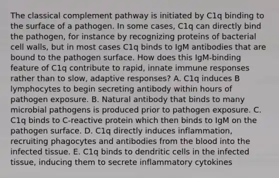 The classical complement pathway is initiated by C1q binding to the surface of a pathogen. In some cases, C1q can directly bind the pathogen, for instance by recognizing proteins of bacterial cell walls, but in most cases C1q binds to IgM antibodies that are bound to the pathogen surface. How does this IgM-binding feature of C1q contribute to rapid, innate immune responses rather than to slow, adaptive responses? A. C1q induces B lymphocytes to begin secreting antibody within hours of pathogen exposure. B. Natural antibody that binds to many microbial pathogens is produced prior to pathogen exposure. C. C1q binds to C-reactive protein which then binds to IgM on the pathogen surface. D. C1q directly induces inflammation, recruiting phagocytes and antibodies from the blood into the infected tissue. E. C1q binds to dendritic cells in the infected tissue, inducing them to secrete inflammatory cytokines