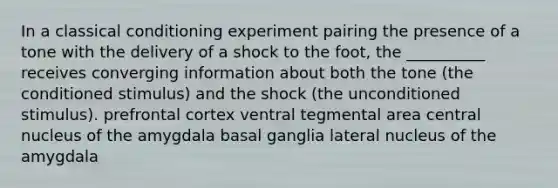 In a classical conditioning experiment pairing the presence of a tone with the delivery of a shock to the foot, the __________ receives converging information about both the tone (the conditioned stimulus) and the shock (the unconditioned stimulus). prefrontal cortex ventral tegmental area central nucleus of the amygdala basal ganglia lateral nucleus of the amygdala