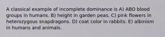 A classical example of incomplete dominance is A) ABO blood groups in humans. B) height in garden peas. C) pink flowers in heterozygous snapdragons. D) coat color in rabbits. E) albinism in humans and animals.