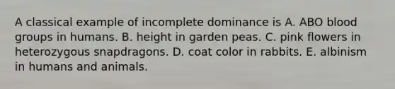 A classical example of incomplete dominance is A. ABO blood groups in humans. B. height in garden peas. C. pink flowers in heterozygous snapdragons. D. coat color in rabbits. E. albinism in humans and animals.