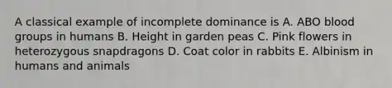 A classical example of incomplete dominance is A. ABO blood groups in humans B. Height in garden peas C. Pink flowers in heterozygous snapdragons D. Coat color in rabbits E. Albinism in humans and animals