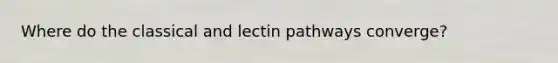 Where do the classical and lectin pathways converge?