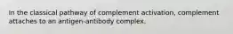 In the classical pathway of complement activation, complement attaches to an antigen-antibody complex.