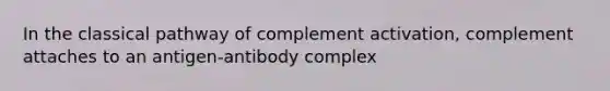 In the classical pathway of complement activation, complement attaches to an antigen-antibody complex