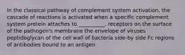 In the classical pathway of complement system activation, the cascade of reactions is activated when a specific complement system protein attaches to __________. receptors on the surface of the pathogen's membrane the envelope of viruses peptidoglycan of the cell wall of bacteria side-by side Fc regions of antibodies bound to an antigen