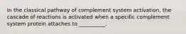 In the classical pathway of complement system activation, the cascade of reactions is activated when a specific complement system protein attaches to __________.