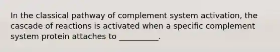 In the classical pathway of complement system activation, the cascade of reactions is activated when a specific complement system protein attaches to __________.