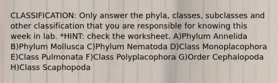 CLASSIFICATION: Only answer the phyla, classes, subclasses and other classification that you are responsible for knowing this week in lab. *HINT: check the worksheet. A)Phylum Annelida B)Phylum Mollusca C)Phylum Nematoda D)Class Monoplacophora E)Class Pulmonata F)Class Polyplacophora G)Order Cephalopoda H)Class Scaphopoda