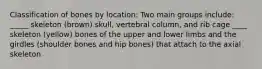 Classification of bones by location: Two main groups include: _____ skeleton (brown) skull, vertebral column, and rib cage ____ skeleton (yellow) bones of the upper and lower limbs and the girdles (shoulder bones and hip bones) that attach to the axial skeleton