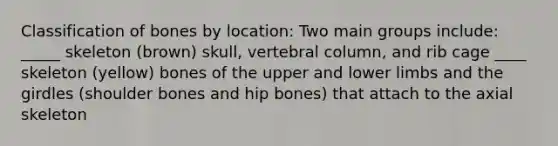 Classification of bones by location: Two main groups include: _____ skeleton (brown) skull, vertebral column, and rib cage ____ skeleton (yellow) bones of the upper and lower limbs and the girdles (shoulder bones and hip bones) that attach to the axial skeleton