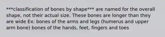 ***classification of bones by shape*** are named for the overall shape, not their actual size. These bones are longer than they are wide Ex: bones of the arms and legs (humerus and upper arm bone) bones of the hands, feet, fingers and toes