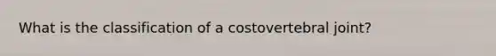 What is the classification of a costovertebral joint?