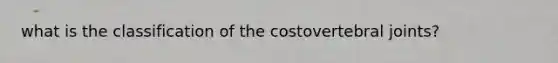 what is the classification of the costovertebral joints?