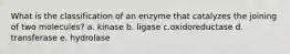 What is the classification of an enzyme that catalyzes the joining of two molecules? a. kinase b. ligase c.oxidoreductase d. transferase e. hydrolase