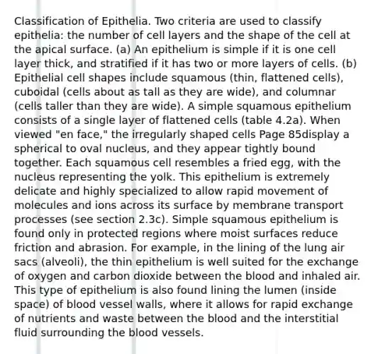 Classification of Epithelia. Two criteria are used to classify epithelia: the number of cell layers and the shape of the cell at the apical surface. (a) An epithelium is simple if it is one cell layer thick, and stratified if it has two or more layers of cells. (b) Epithelial cell shapes include squamous (thin, flattened cells), cuboidal (cells about as tall as they are wide), and columnar (cells taller than they are wide). A simple squamous epithelium consists of a single layer of flattened cells (table 4.2a). When viewed "en face," the irregularly shaped cells Page 85display a spherical to oval nucleus, and they appear tightly bound together. Each squamous cell resembles a fried egg, with the nucleus representing the yolk. This epithelium is extremely delicate and highly specialized to allow rapid movement of molecules and ions across its surface by membrane transport processes (see section 2.3c). Simple squamous epithelium is found only in protected regions where moist surfaces reduce friction and abrasion. For example, in the lining of the lung air sacs (alveoli), the thin epithelium is well suited for the exchange of oxygen and carbon dioxide between <a href='https://www.questionai.com/knowledge/k7oXMfj7lk-the-blood' class='anchor-knowledge'>the blood</a> and inhaled air. This type of epithelium is also found lining the lumen (inside space) of blood vessel walls, where it allows for rapid exchange of nutrients and waste between the blood and the interstitial fluid surrounding the <a href='https://www.questionai.com/knowledge/kZJ3mNKN7P-blood-vessels' class='anchor-knowledge'>blood vessels</a>.