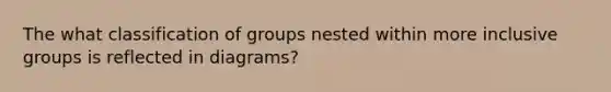 The what classification of groups nested within more inclusive groups is reflected in diagrams?