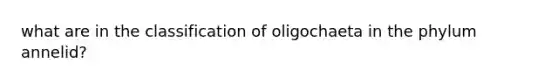 what are in the classification of oligochaeta in the phylum annelid?