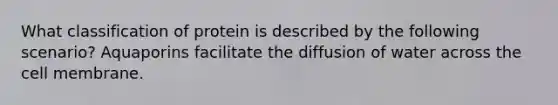 What classification of protein is described by the following scenario? Aquaporins facilitate the diffusion of water across the cell membrane.