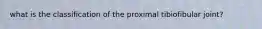 what is the classification of the proximal tibiofibular joint?