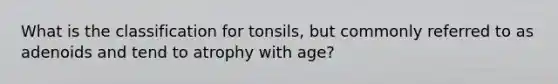 What is the classification for tonsils, but commonly referred to as adenoids and tend to atrophy with age?