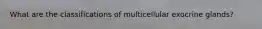 What are the classifications of multicellular exocrine glands?