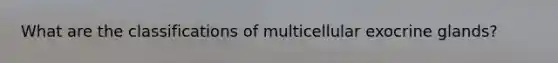 What are the classifications of multicellular exocrine glands?