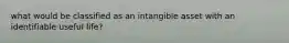 what would be classified as an intangible asset with an identifiable useful life?