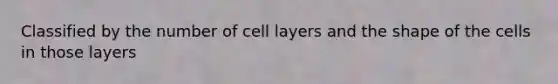 Classified by the number of cell layers and the shape of the cells in those layers