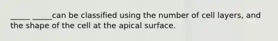 _____ _____can be classified using the number of cell layers, and the shape of the cell at the apical surface.